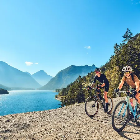 Ela Apartment Reutte