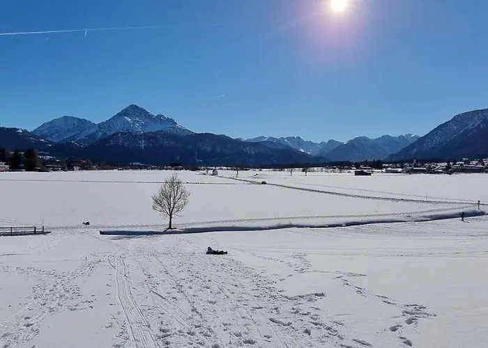 Ela Apartmán Reutte